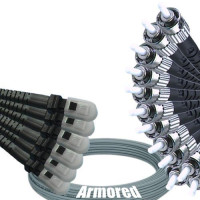 Indoor Armored 12 Fiber MTRJ/UPC to ST/UPC Patch Cord 62.5/125 MM