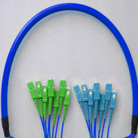 Indoor Armored 8 Fiber SC/APC to SC/UPC Patch Cord 9/125 Singlemode