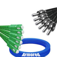 Indoor Armored 6 Fiber SC/APC to SMA905/UPC Patch Cord 9/125 SM