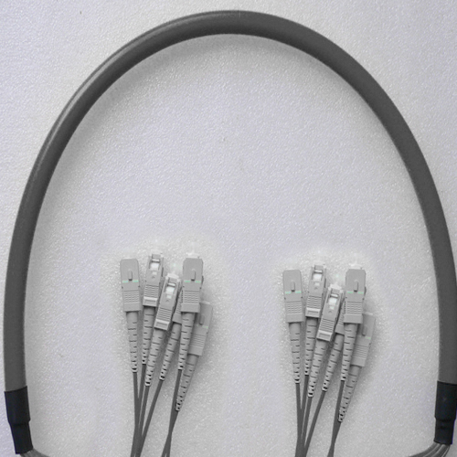 Indoor Armored 6 Fiber SC/UPC to SC/UPC Patch Cord 50/125 Multimode