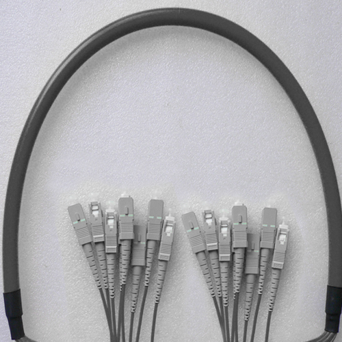 Indoor Armored 8 Fiber SC/UPC to SC/UPC Patch Cord 50/125 Multimode