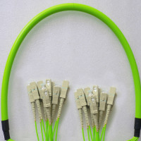 Indoor Armored 12 Fiber SC/UPC to SC/UPC Patch Cord OM5 50/125 MM