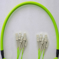 Indoor Armored 6 Fiber SC/UPC to SC/UPC Patch Cord OM5 50/125 MM