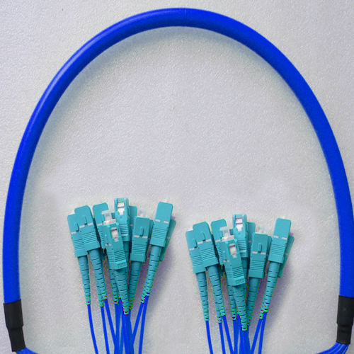 Indoor Armored 12 Fiber SC/UPC to SC/UPC Patch Cord 9/125 Singlemode