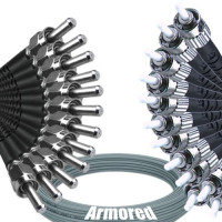 Indoor Armored 12 Fiber SMA905/UPC to ST/UPC Patch Cord 62.5/125 MM