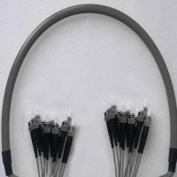 Indoor Armored 12 Fiber ST/UPC to ST/UPC Patch Cord 62.5/125 Multimode