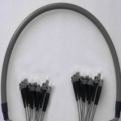 Indoor Armored 12 Fiber ST/UPC to ST/UPC Patch Cord 50/125 Multimode