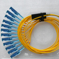 12 Fiber E2000/UPC Ribbon Fanout Pigtails OS2 9/125 Singlemode