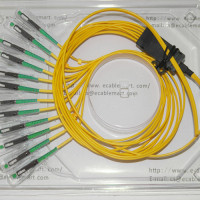 12 Fiber MU/APC Ribbon Fanout Pigtails OS2 9/125 Singlemode