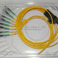 8 Fiber MU/APC Ribbon Fanout Pigtails OS2 9/125 Singlemode