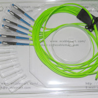 6 Fiber MU/UPC Ribbon Fanout Pigtails OM5 50/125 Multimode