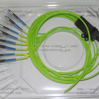 8 Fiber MU/UPC Ribbon Fanout Pigtails OM5 50/125 Multimode