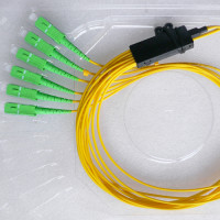 6 Fiber SC/APC Ribbon Fanout Pigtails OS2 9/125 Singlemode