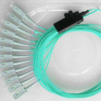 12 Fiber SC/UPC Ribbon Fanout Pigtails OM3 50/125 Multimode