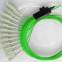 12 Fiber SC/UPC Ribbon Fanout Pigtails OM5 50/125 Multimode