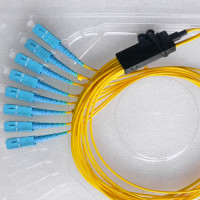 8 Fiber SC/UPC Ribbon Fanout Pigtails OS2 9/125 Singlemode