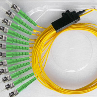 12 Fiber ST/APC Ribbon Fanout Pigtails OS2 9/125 Singlemode