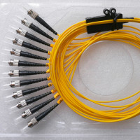 12 Fiber ST/UPC Ribbon Fanout Pigtails OS2 9/125 Singlemode