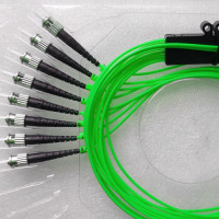 8 Fiber ST/UPC Ribbon Fanout Pigtails OM5 50/125 Multimode
