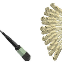 Armored 12 Fiber MPO/UPC-E2000/UPC Fanout Cable OM2 50/125 Multimode