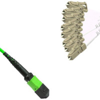 Armored 8 Fiber MPO/UPC to LC/UPC Fanout Cable OM5 50/125 Multimode