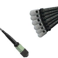Armored 12 Fiber MPO/UPC-MTRJ/UPC Fanout Cable OM1 62.5/125 Multimode