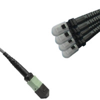 Armored 8 Fiber MPO/UPC-MTRJ/UPC Fanout Cable OM1 62.5/125 Multimode