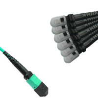 Armored 12 Fiber MPO/UPC to MTRJ/UPC Fanout Cable OM4 50/125 Multimode