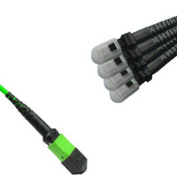 Armored 8 Fiber MPO/UPC to MTRJ/UPC Fanout Cable OM5 50/125 Multimode