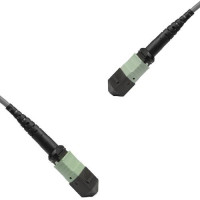 Armored 8 Fiber MTP/UPC to MTP/UPC Patch Cord OM1 62.5/125 Multimode