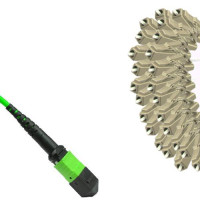 24 Fiber MPO/UPC to LC/UPC Fanout Patch Cord OM5 50/125 Multimode