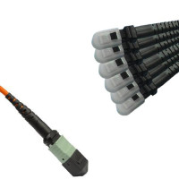 12 Fiber MPO/UPC to MTRJ/UPC Fanout Patch Cord OM1 62.5/125 Multimode