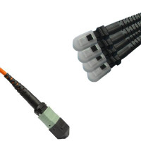 8 Fiber MPO/UPC to MTRJ/UPC Fanout Patch Cord OM1 62.5/125 Multimode
