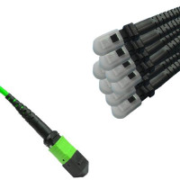 16 Fiber MPO/UPC to MTRJ/UPC Fanout Patch Cord OM5 50/125 Multimode