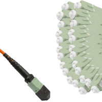 24 Fiber MPO/UPC to SC/UPC Fanout Patch Cord OM2 50/125 Multimode