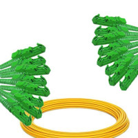 8 Fiber E2000/APC to E2000/APC Patch Cord OS2 9/125 Singlemode