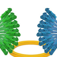 12 Fiber E2000/APC to E2000/UPC Patch Cord OS2 9/125 Singlemode