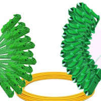 12 Fiber E2000/APC to LC/APC Patch Cord OS2 9/125 Singlemode