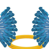 12 Fiber E2000/UPC to E2000/UPC Patch Cord OS2 9/125 Singlemode