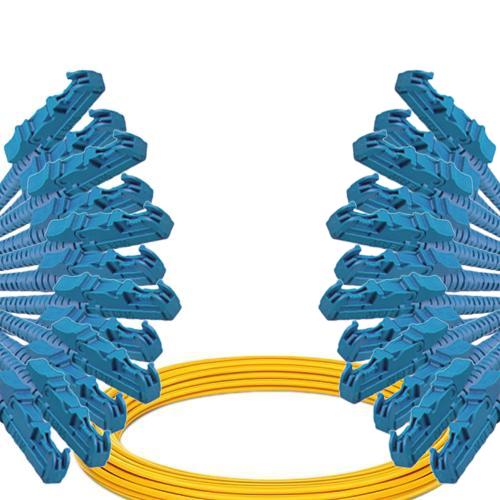 12 Fiber E2000/UPC to E2000/UPC Patch Cord OS2 9/125 Singlemode