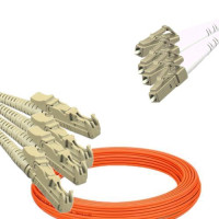 4 Fiber E2000/UPC to LC/UPC Patch Cord OM1 62.5/125 Multimode