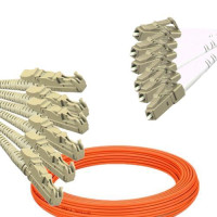6 Fiber E2000/UPC to LC/UPC Patch Cord OM2 50/125 Multimode