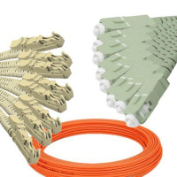 8 Fiber E2000/UPC to SC/UPC Patch Cord OM2 50/125 Multimode