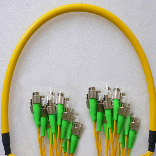 24 Fiber FC/APC to FC/APC Patch Cord OS2 9/125 Singlemode
