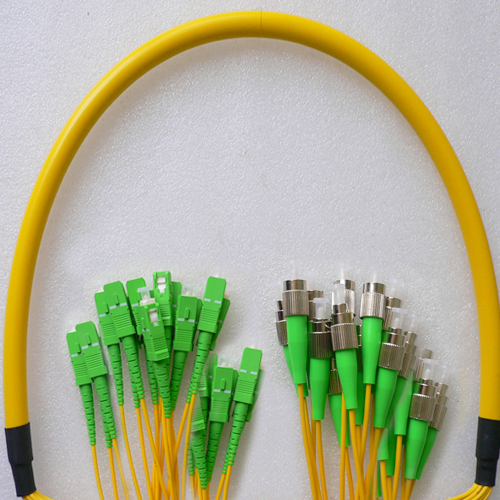 24 Fiber FC/APC to SC/APC Patch Cord OS2 9/125 Singlemode