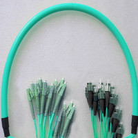 24 Fiber FC/UPC to LC/UPC Patch Cord OM4 50/125 Multimode