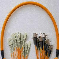 24 Fiber FC/UPC to SC/UPC Patch Cord OM2 50/125 Multimode