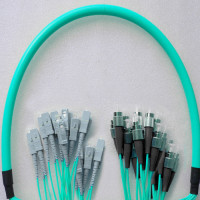 24 Fiber FC/UPC to SC/UPC Patch Cord OM3 50/125 Multimode