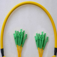 8 Fiber LC/APC to LC/APC Patch Cord OS2 9/125 Singlemode