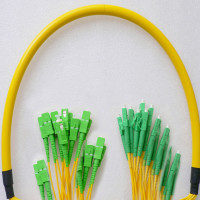 24 Fiber LC/APC to SC/APC Patch Cord OS2 9/125 Singlemode